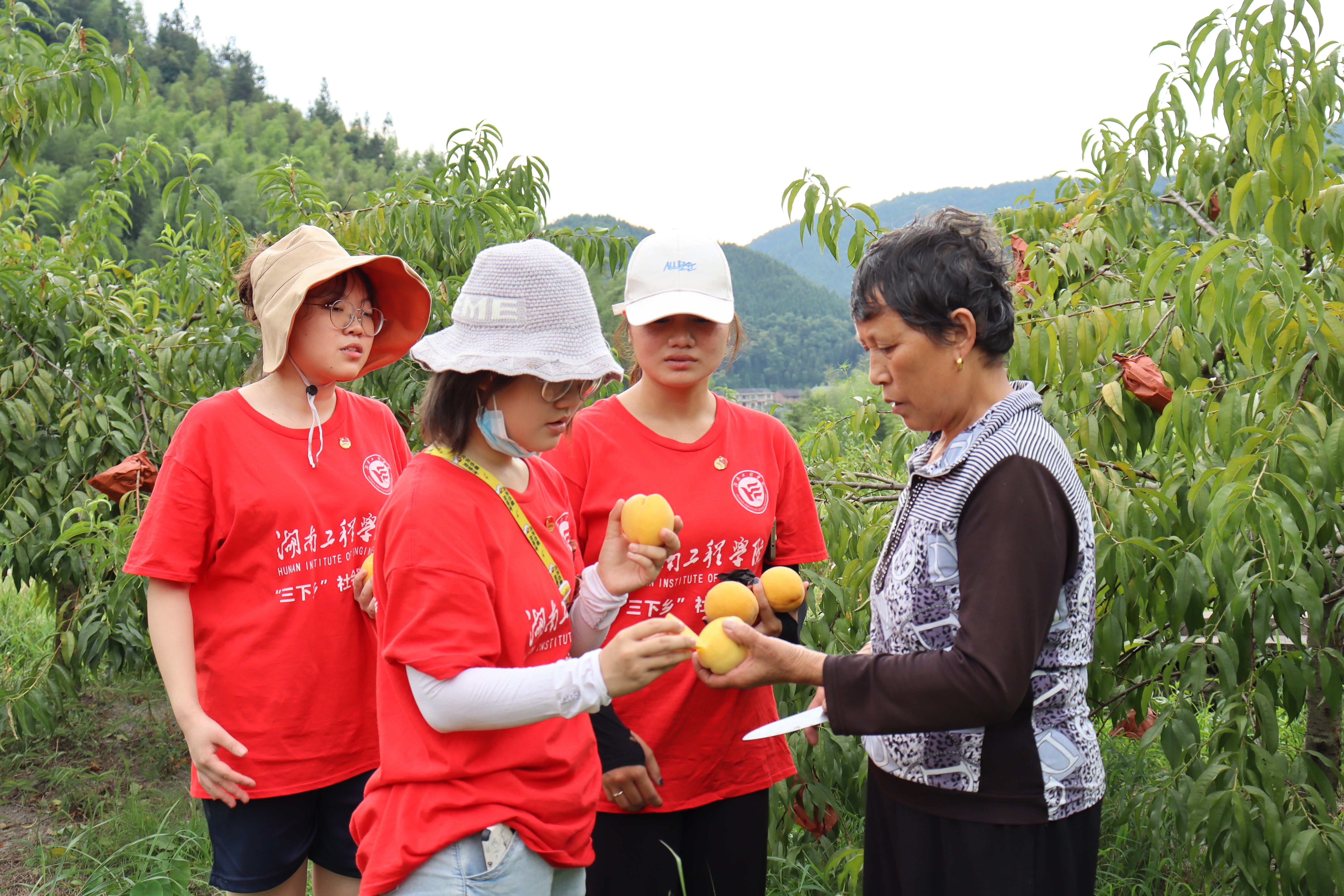 湖南工程学院jxf吉祥官网总站：情系畲族村 逐梦新征程
